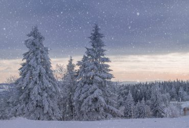 Beitragserhöhung zum Januar 2023